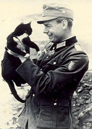 Illustration for article titled The Heartless Kittens of the Third Reich